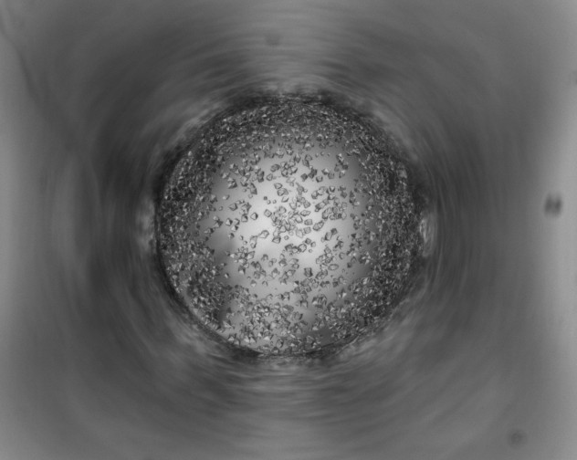 X0000100970963200807151347