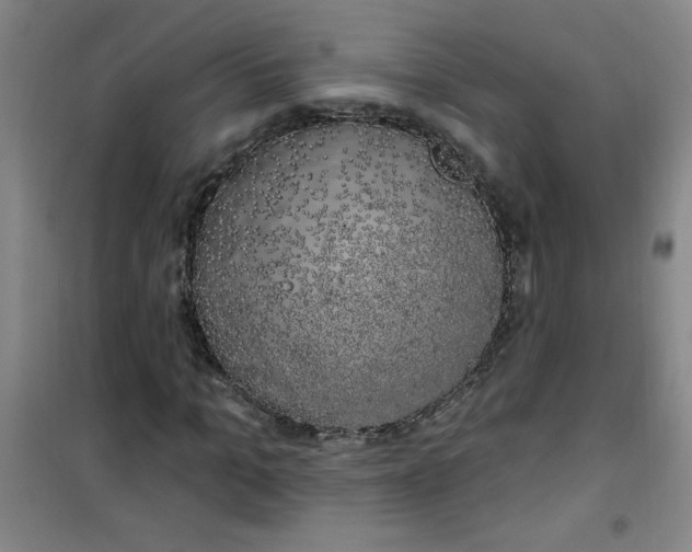 X0000100970965200807151347