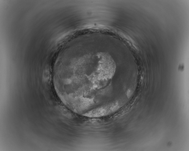 X0000100970966200807151347