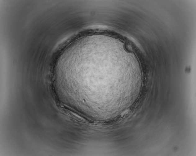 X0000100970967200807151347