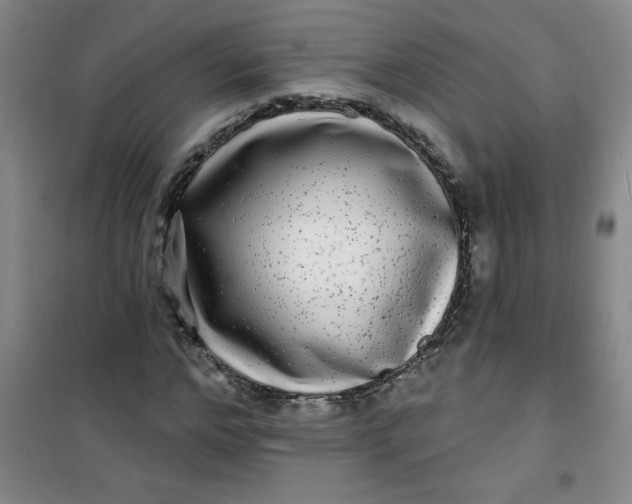 X0000100970968200807151347