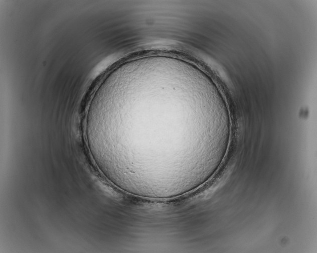 X0000100970970200807151347