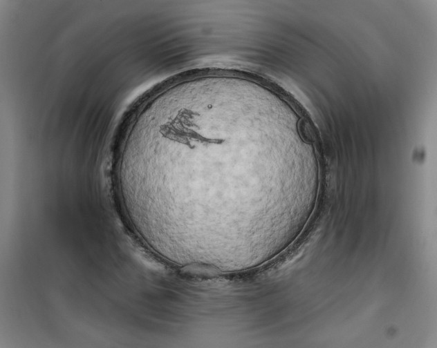 X0000100970971200807151347