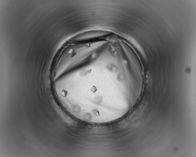 X0000100970972200807151347