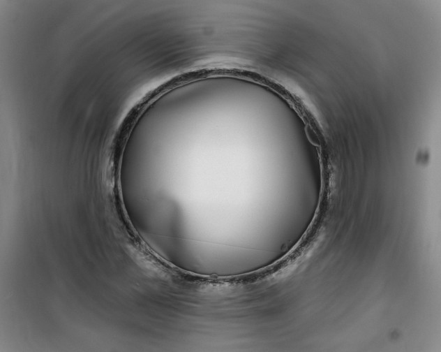 X0000100970973200807151347