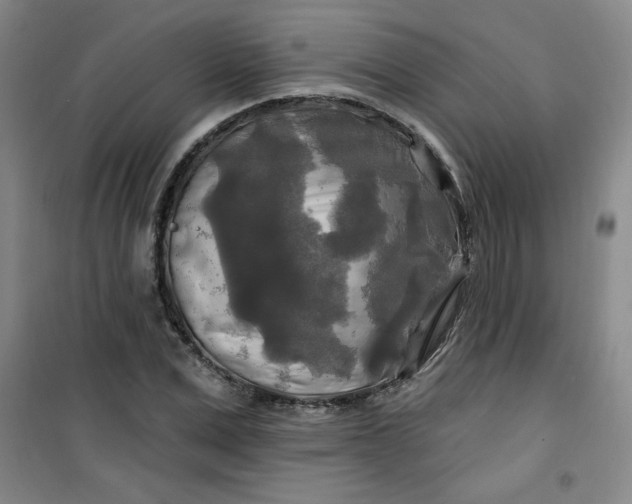 X0000100970975200807151347