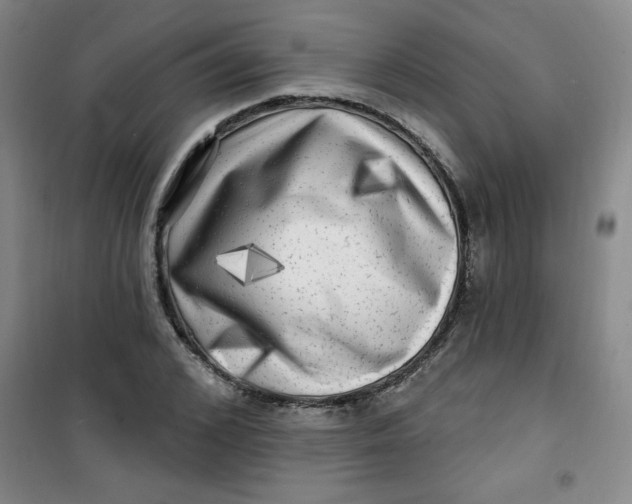 X0000100970976200807151347