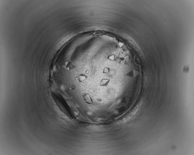 X0000100970977200807151347
