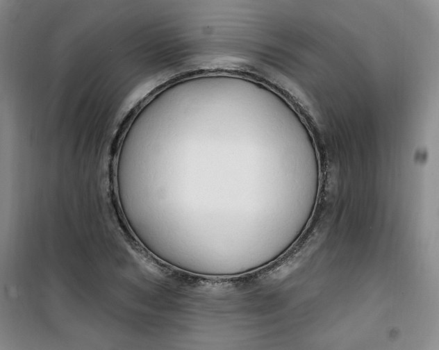 X0000100970978200807151347