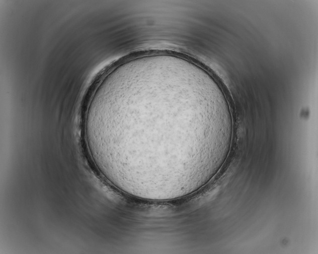 X0000100970979200807151347