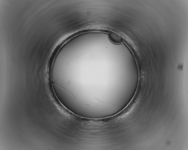 X0000100970981200807151347