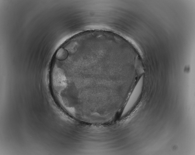 X0000100970983200807151347
