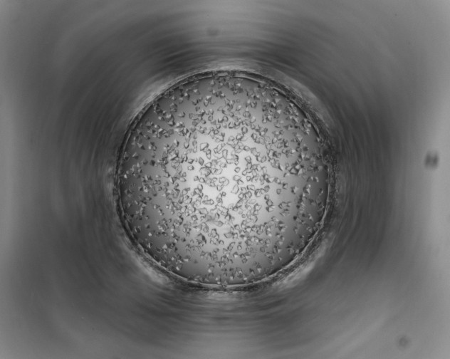 X0000100970985200807151347