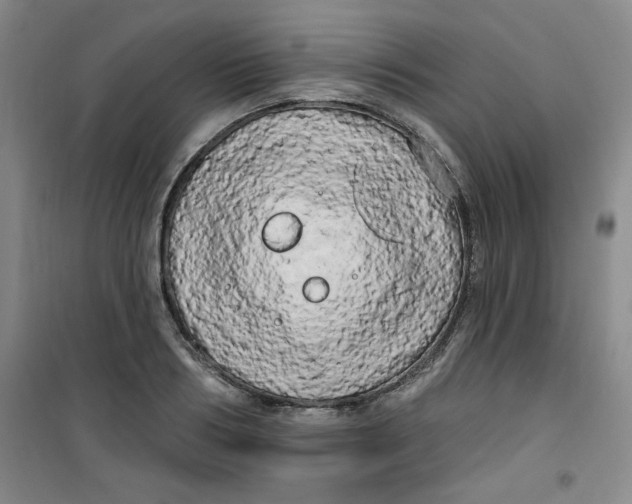 X0000100970986200807151347