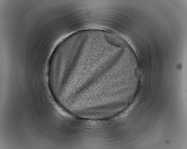 X0000100970987200807151347
