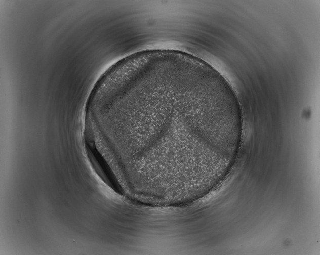 X0000100970988200807151347
