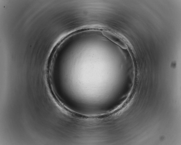X0000100970989200807151347