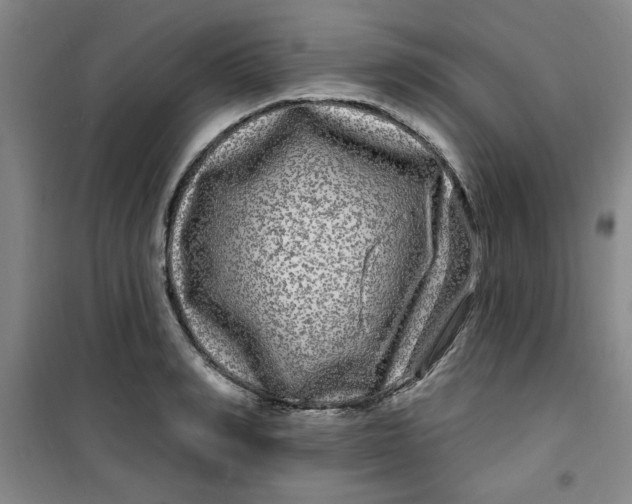 X0000100970990200807151347