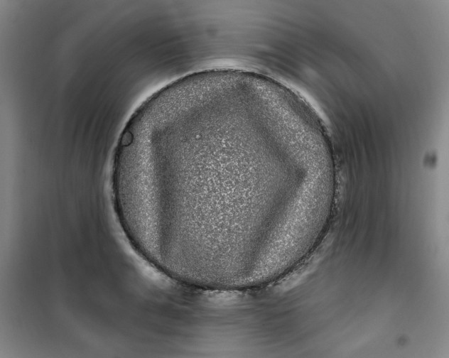 X0000100970991200807151347