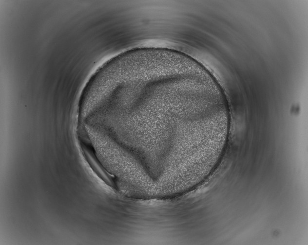 X0000100970992200807151347