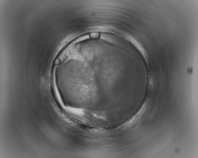 X0000100970994200807151347