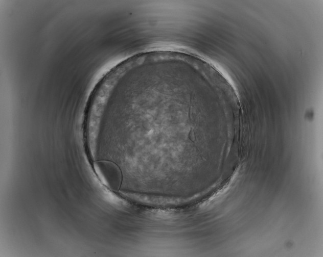 X0000100970995200807151347