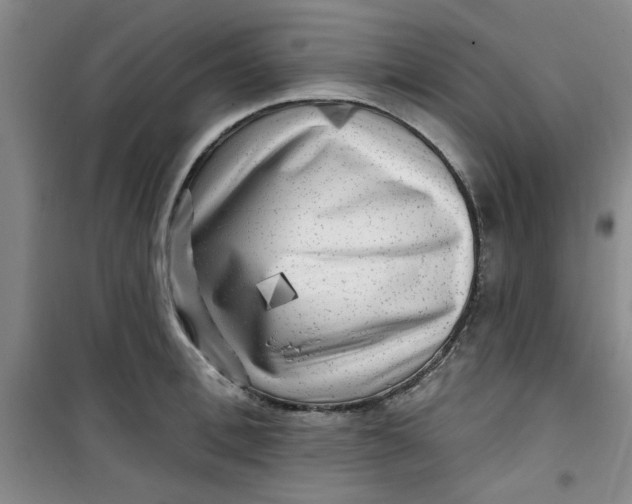 X0000100970996200807151347
