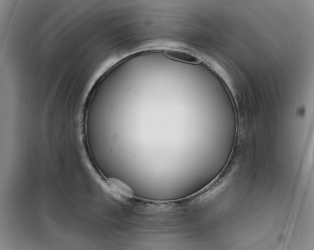 X0000100970997200807151347