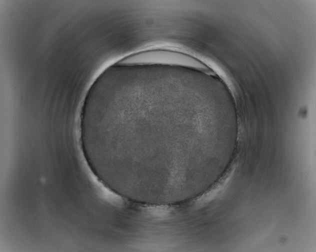 X0000100970999200807151347