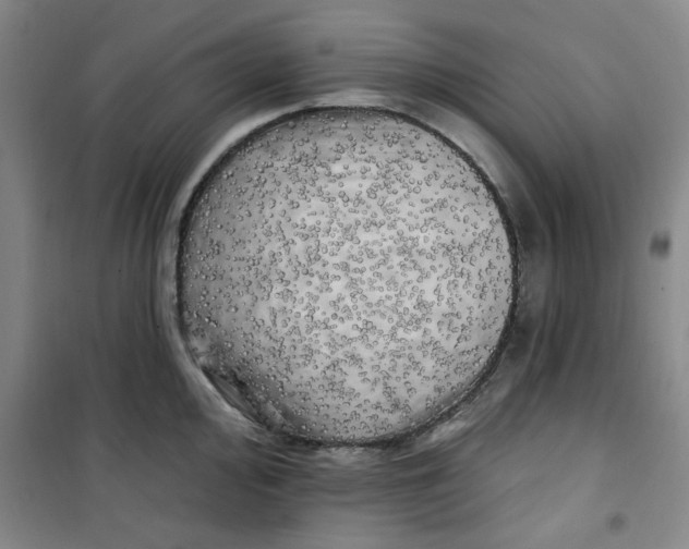 X0000100971000200807151347