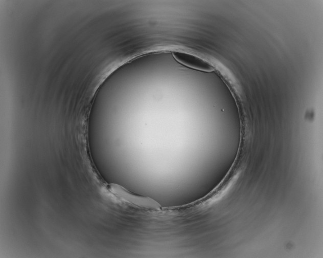 X0000100971001200807151347