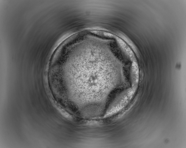 X0000100971002200807151347