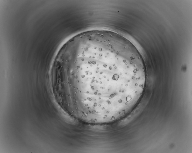 X0000100971004200807151347