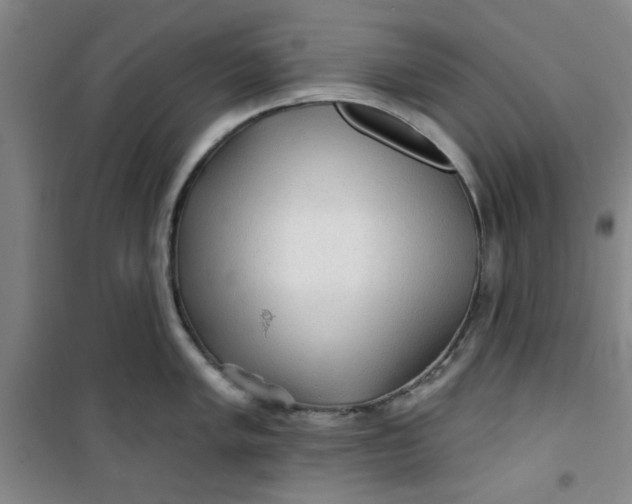X0000100971005200807151347