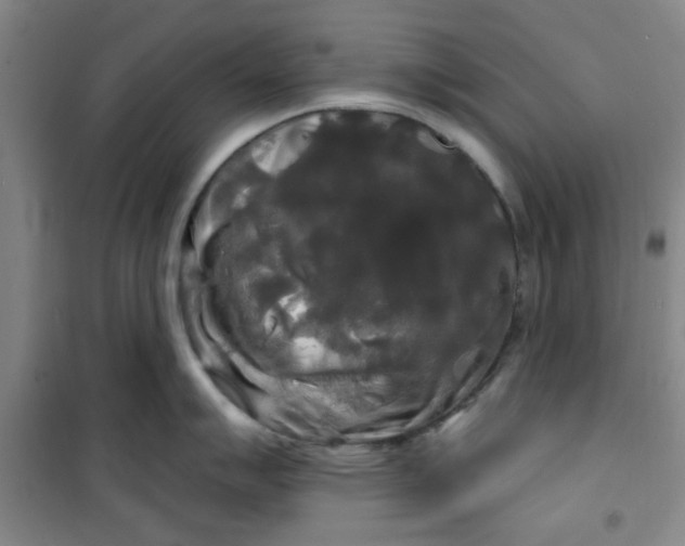 X0000100971007200807151347
