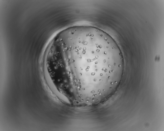 X0000100971008200807151347