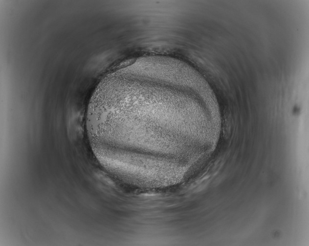 X0000100971010200807151346