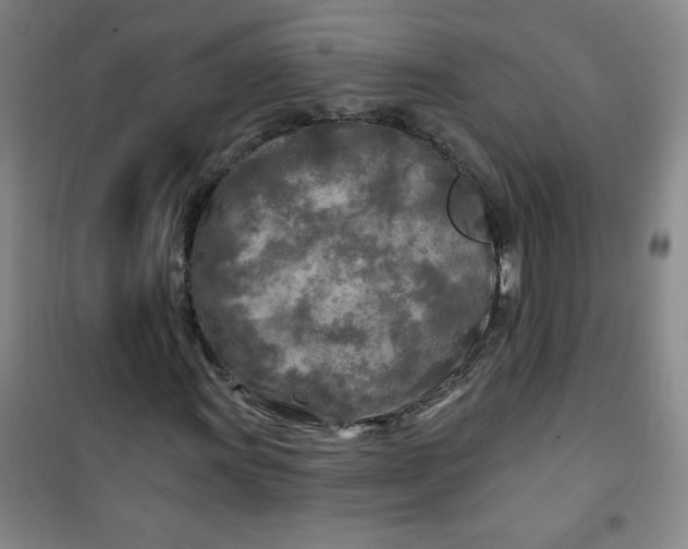 X0000100971011200807151346