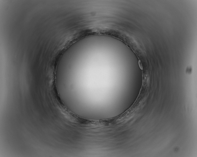 X0000100971012200807151346