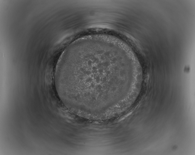X0000100971014200807151346