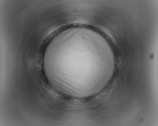 X0000100971015200807151346