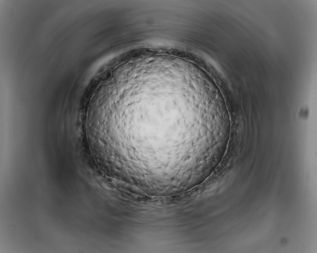 X0000100971016200807151346