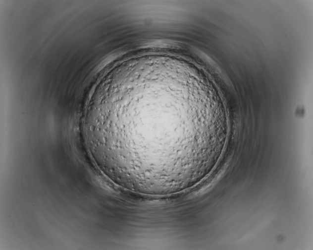 X0000100971017200807151346