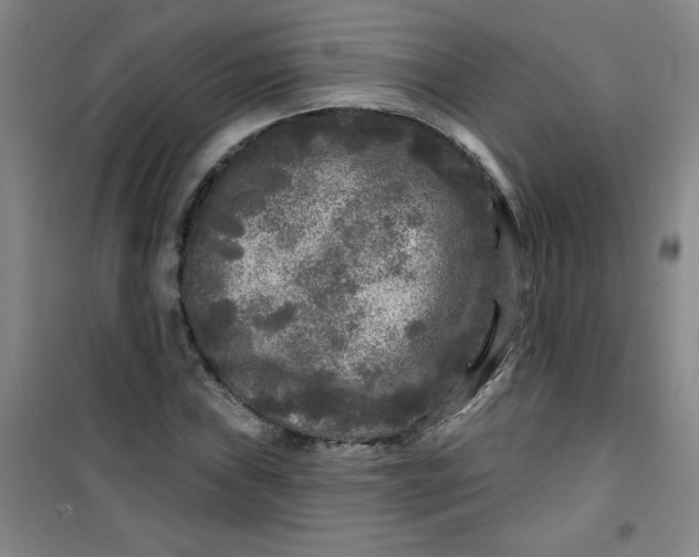 X0000100971019200807151346