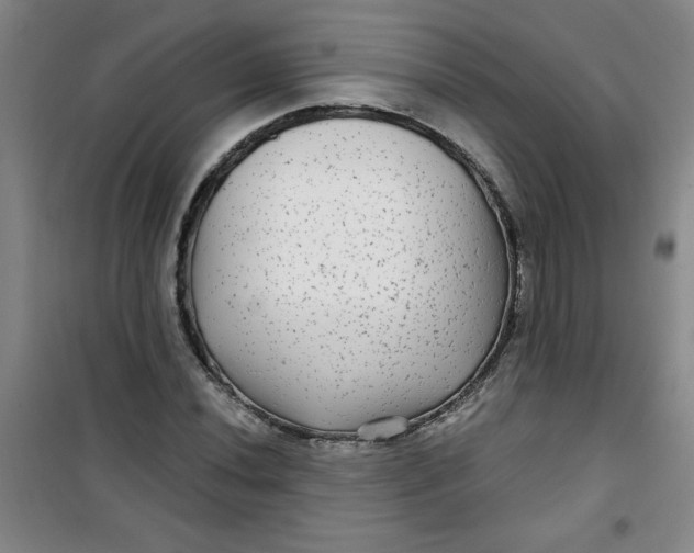 X0000100971020200807151346