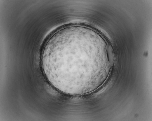 X0000100971021200807151346