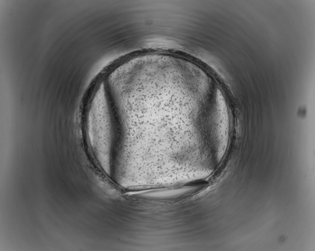 X0000100971022200807151346