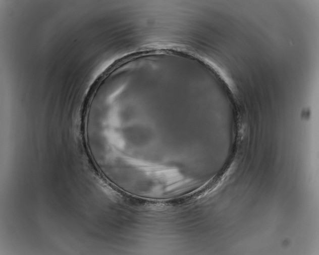 X0000100971023200807151346