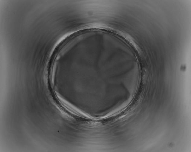 X0000100971024200807151346