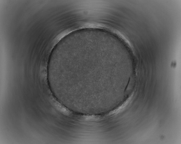 X0000100971025200807151346
